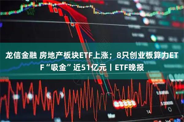 龙信金融 房地产板块ETF上涨；8只创业板算力ETF“吸金”近51亿元丨ETF晚报
