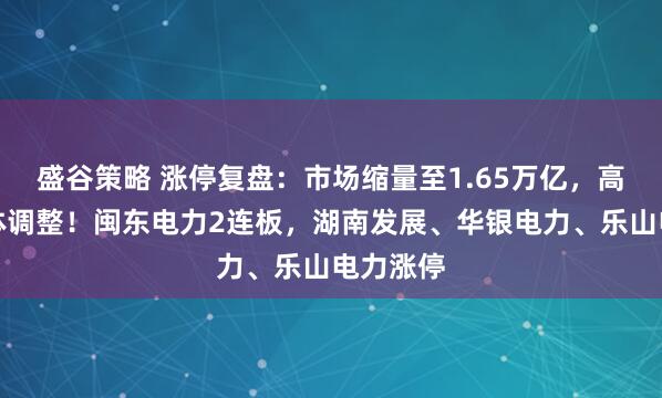 盛谷策略 涨停复盘：市场缩量至1.65万亿，高位股集体调整！闽东电力2连板，湖南发展、华银电力、乐山电力涨停