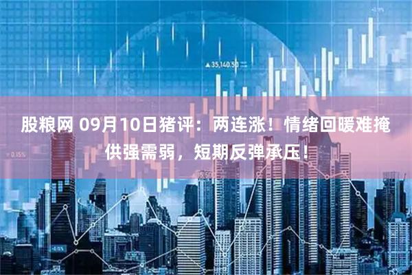 股粮网 09月10日猪评：两连涨！情绪回暖难掩供强需弱，短期反弹承压！
