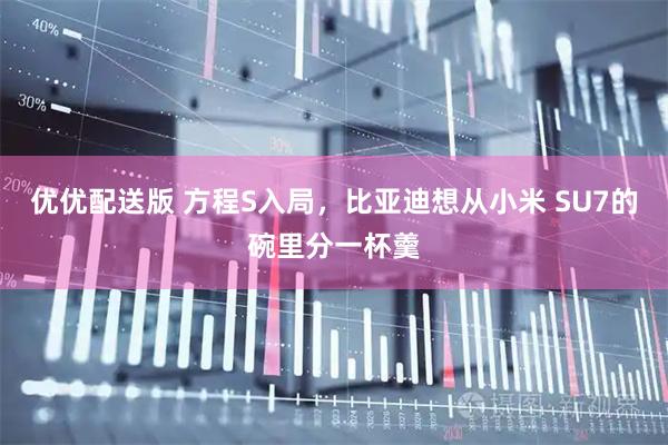 优优配送版 方程S入局,比亚迪想从小米 SU7的碗里分一杯羹